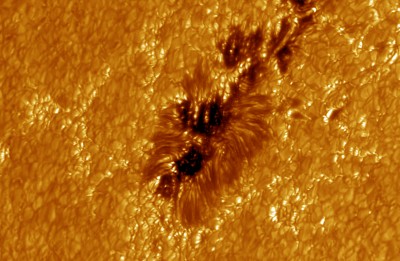 Macchie solari fotografate dallo SWEDISH SOLAR TELESCOPE