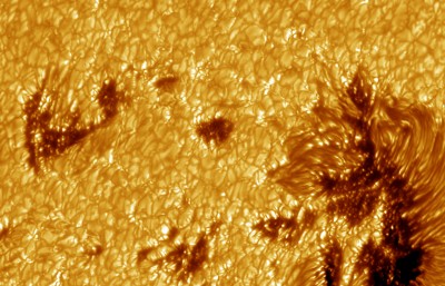 Macchie solari fotografate dallo Swedish Space Telescope