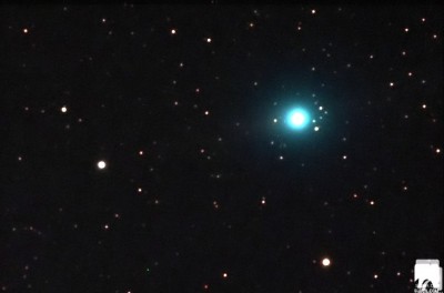 Cometa LULIN il 29 dicembre 2008 - Foto di Tony Farkas copyright riservati