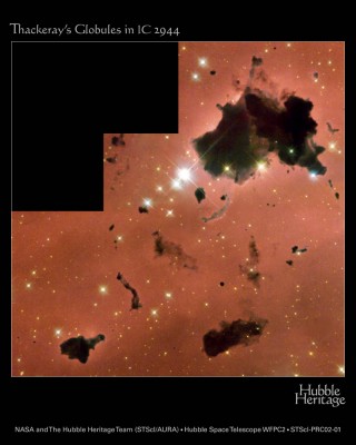 nella regione IC 2944 troviamo uno splendido esempio di Globulo di Bok