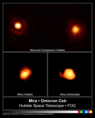 Mira A (in alto a dx) e B (in alto a sx) - la gigante rossa e la nana bianca