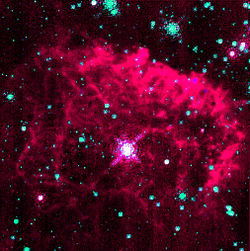 La stella Pistola ossevabile solo nellinfrarosso perche nellottico e completamente nascosta dalla sua nube di gas e polveri che ne assorbe la radiazione visibile