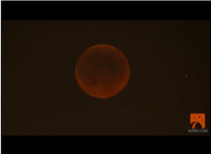 Eclisse di Luna 15 giugno 2011 - Presa durante la diretta web 