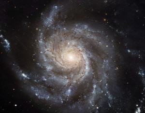 M101 galassia nell'Orsa Maggiore a 21 milioni di anni luce - Credits: NASA/ESA/Hubble