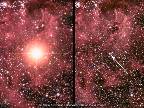 La stella Sanduleak esplode in una devastante deflagrazione a febbraio del 1987 diventato una supernova 