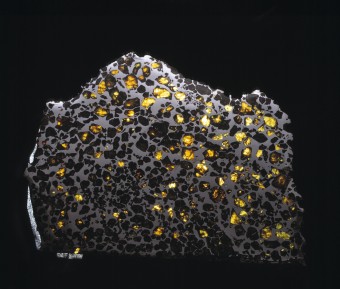 Il meteorite Esquel - Credits Natural History Museum, Londra